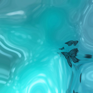 Digitaal Wellness & Cyber Security Course